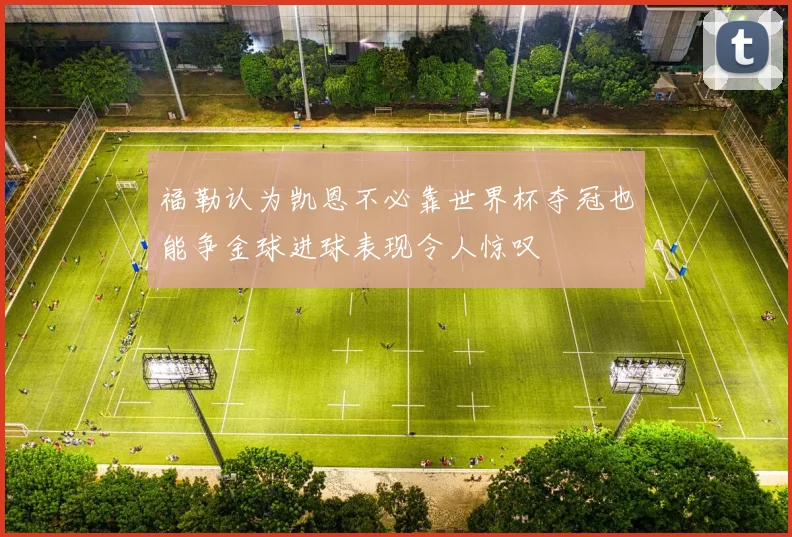 福勒认为凯恩不必靠世界杯夺冠也能争金球进球表现令人惊叹