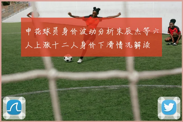 申花球员身价波动分析朱辰杰等六人上涨十二人身价下滑情况解读