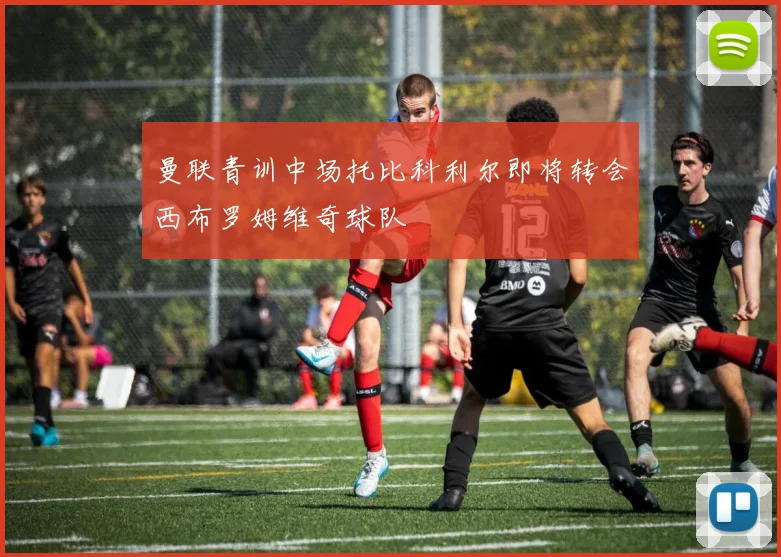 曼联青训中场托比科利尔即将转会西布罗姆维奇球队