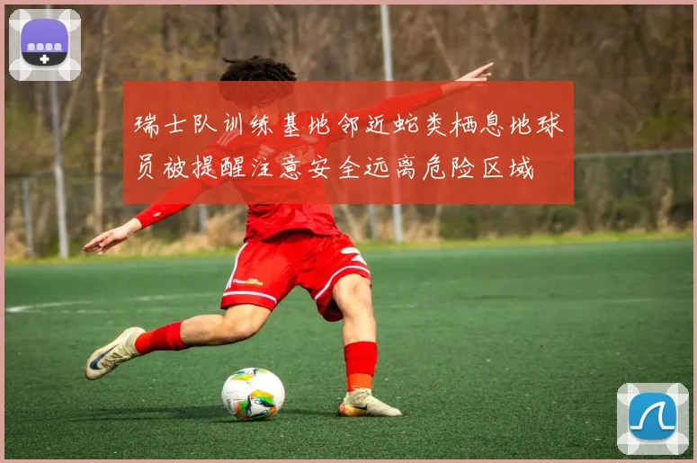 瑞士队训练基地邻近蛇类栖息地球员被提醒注意安全远离危险区域